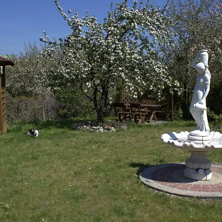 B&B Pan Tadeusz